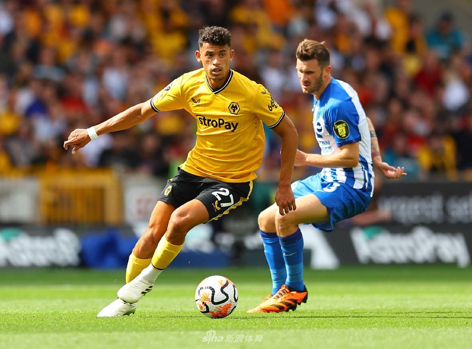 伤病都是一 伤病都是一